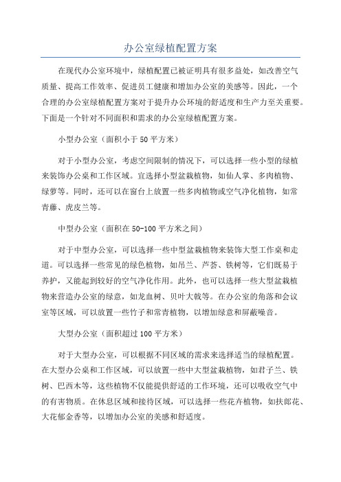 办公室绿植配置方案