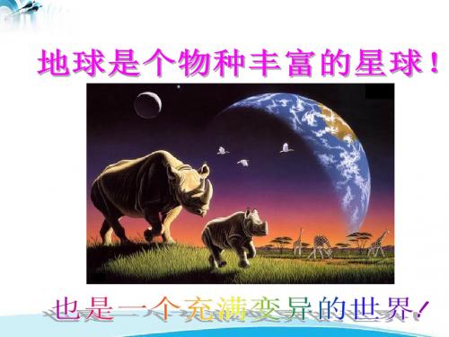 教学课件人教版   第五节 生物的变异