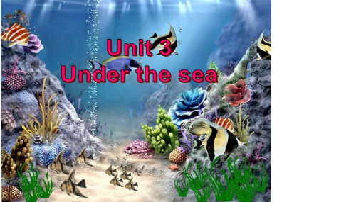 选修七7 第三单元unit3  under the sea reading