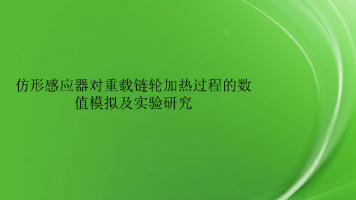 仿形感应器对重载链轮加热过程的数值模拟及实验研究.pptx