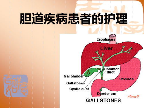 胆道疾病患者的护理.ppt