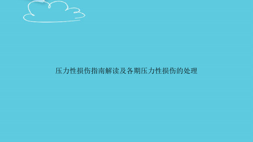 压力性损伤指南解读及各期压力性损伤的处理精选PPT