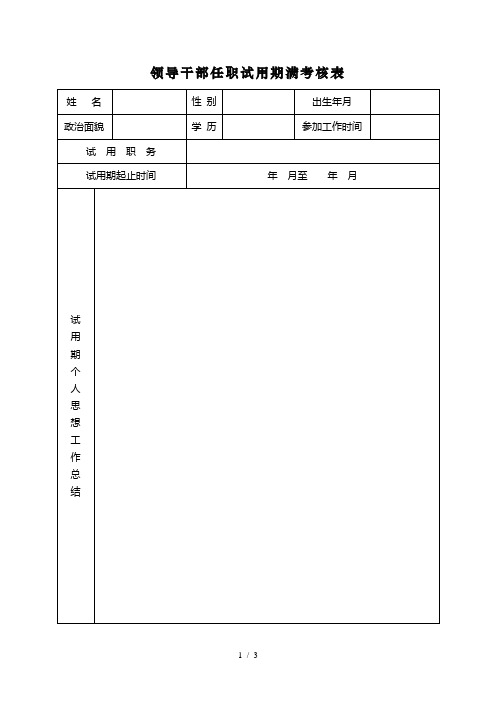 领导干部任职试用期满考核表