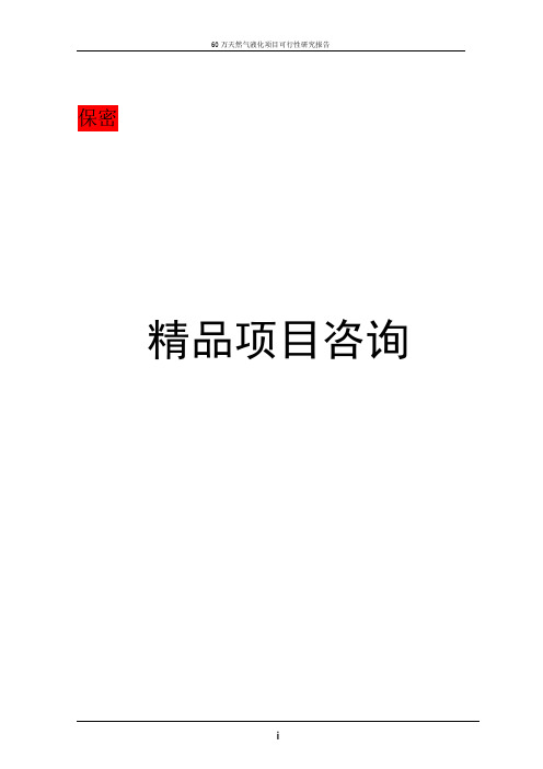 某某新能源有限公司新建60万天然气液化(lng)项目投资可行性研究报告