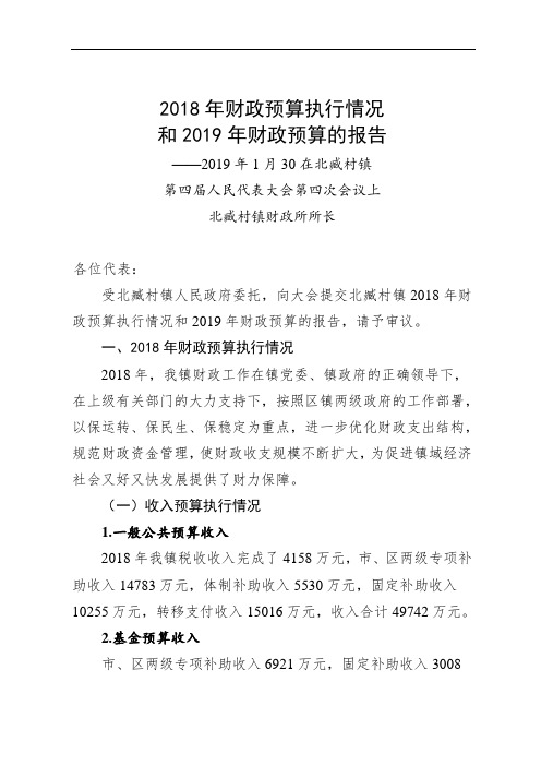 2018年财政预算执行情况和2019年财政预算的报告.doc