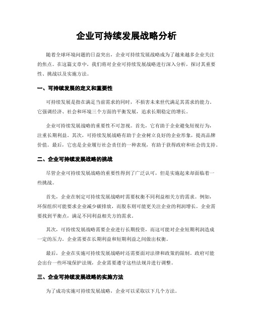 企业可持续发展战略分析