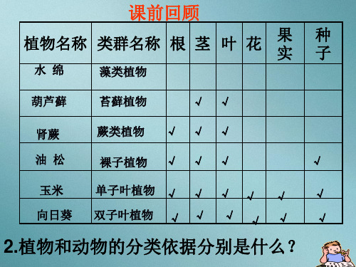 人教生物八年级上册6.1.2从种到界课件