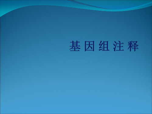 基因组注释详解