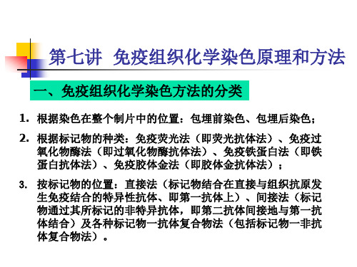 第七讲  免疫组织化学染色原理和方法