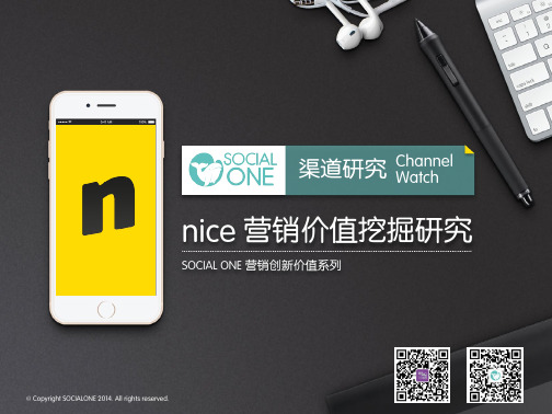 nice营销价值挖掘-SOCIALONE营销创新价值系列(预览版)