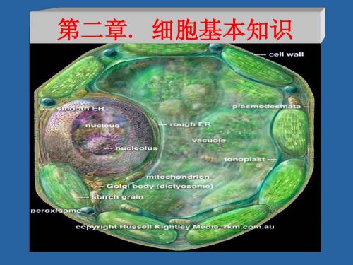 细胞生物学课件第二章细胞基本知识