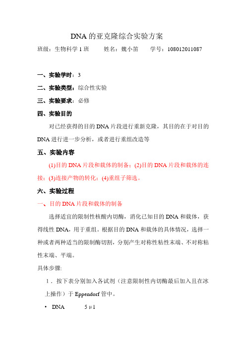 DNA的亚克隆综合实验方案