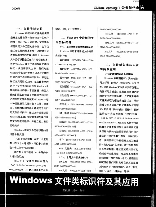 Windows文件类标识符及其应用