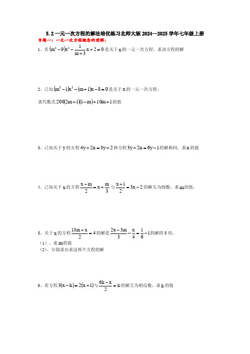 5.2一元一次方程的解法培优练习北师大版2024—2025学年七年级上册