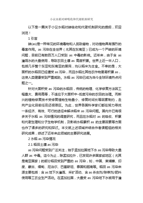 小议水稻对砷吸收和代谢机制研究_论文格式_