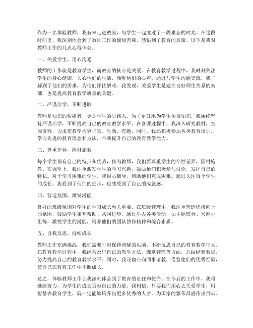 体验教师工作心得体会