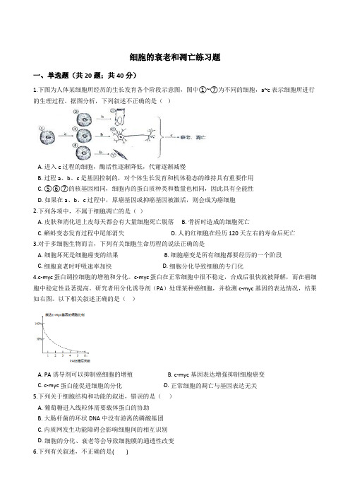 细胞的衰老和凋亡练习题