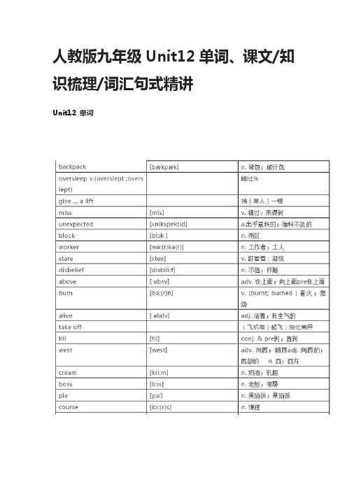 人教版九年级英语Unit12单词、课文,知识梳理,词汇句式精讲