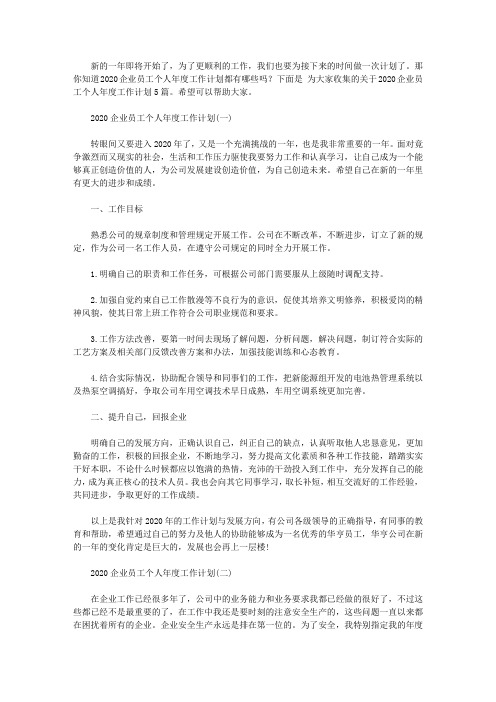 2020企业员工个人年度工作计划5篇