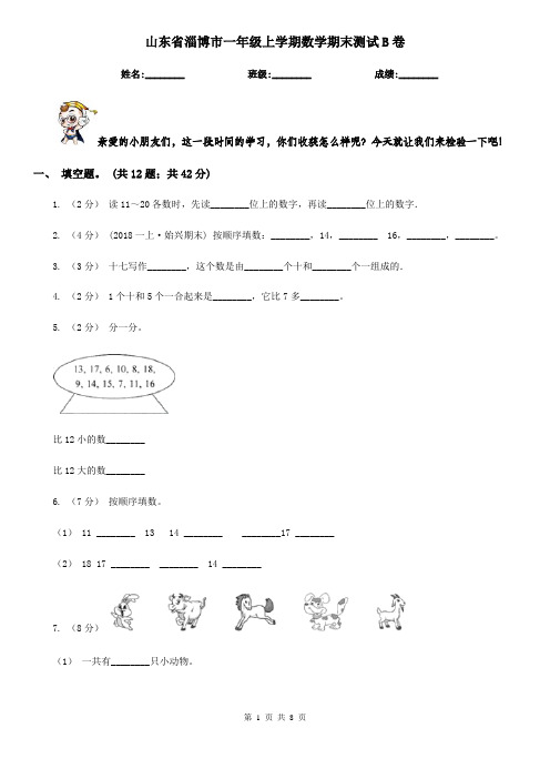 山东省淄博市一年级上学期数学期末测试B卷