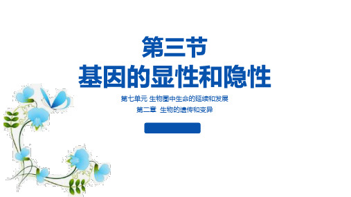 7.2.3基因的显性和隐性+课件-2024--2025学年人教版生物八年级下册 (1)