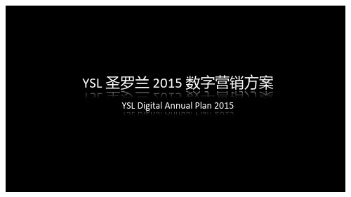 YSL 圣罗兰 2015 数字营销方案