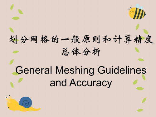 划分网格的一般原则和计算精度总体分析