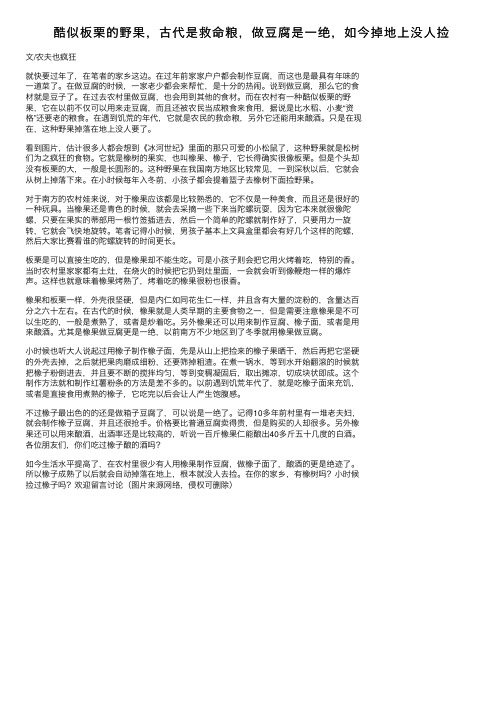 酷似板栗的野果，古代是救命粮，做豆腐是一绝，如今掉地上没人捡