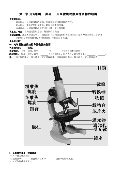 必修1《分子与细胞》第一章走进细胞 第2节显微镜的使用(学案)