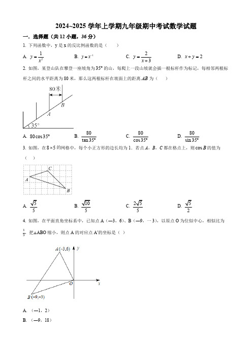 河北省衡水市第三中学2024-2025学年九年级上学期期中考试数学试题(含答案)