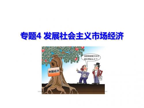 2018届高考政治二轮复习人教版专题4发展社会主义市场经济课件(91张)