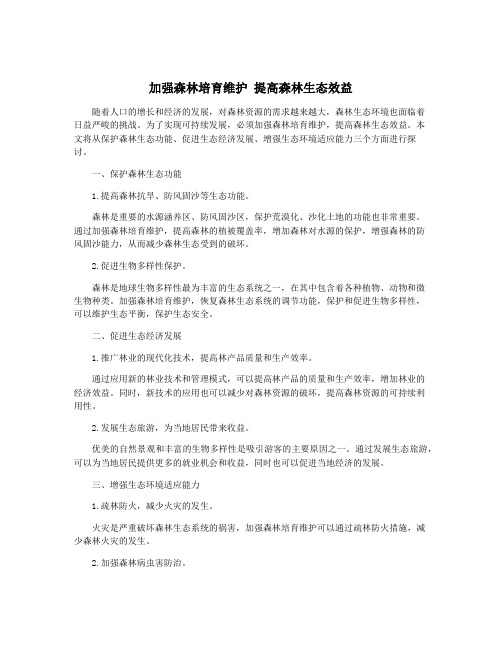 加强森林培育维护 提高森林生态效益