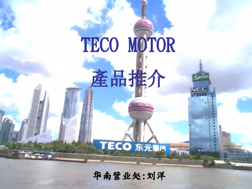 TECO东元电机简介