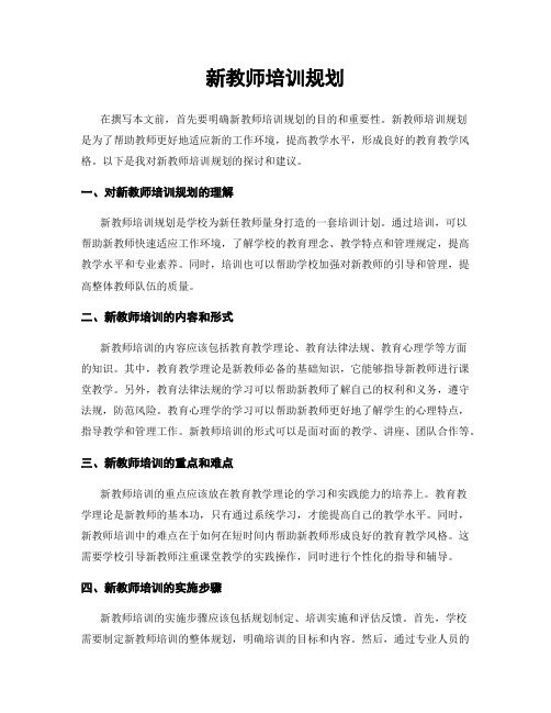 新教师培训规划