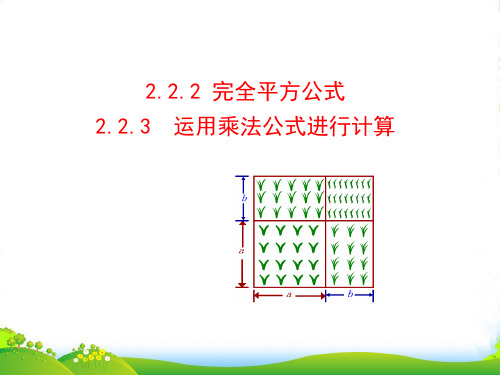 湘教版七年级数学下册第二章《运用乘法公式进行计算》公开课课件