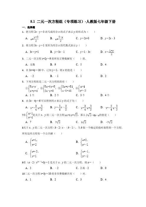 8-1 二元一次方程组(专项练习)