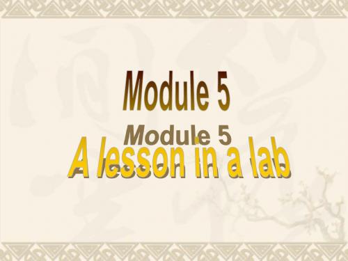module5introduction,vocabulary and speaking