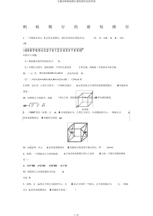 专题训练蚂蚁爬行最短路径包括答案