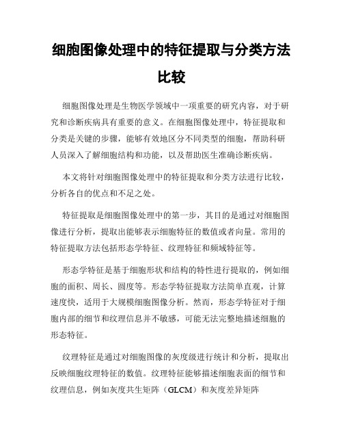 细胞图像处理中的特征提取与分类方法比较