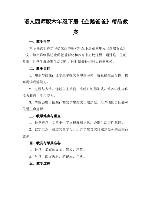 语文西师版六年级下册《企鹅爸爸》精品教案