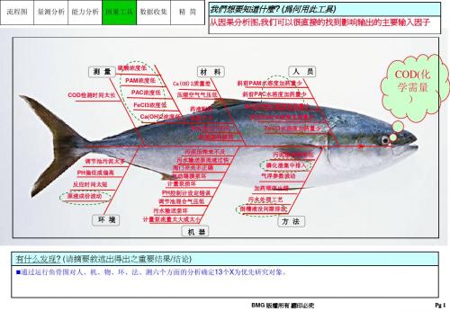 鱼骨图分析法