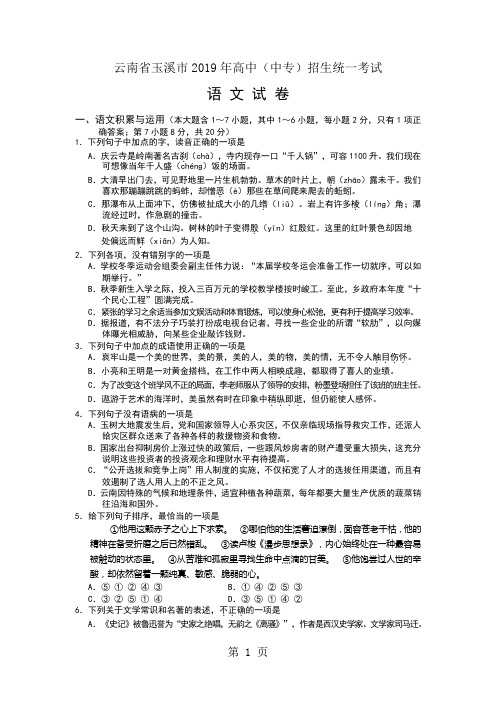 云南省玉溪市2019年高中(中专)招生统一考试语文试题8页word文档