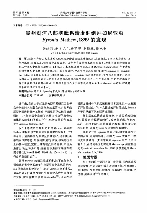贵州剑河八郎寒武系清虚洞组拜如尼亚虫Byronia Mathew,1899的发现