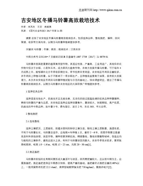 吉安地区冬播马铃薯高效栽培技术