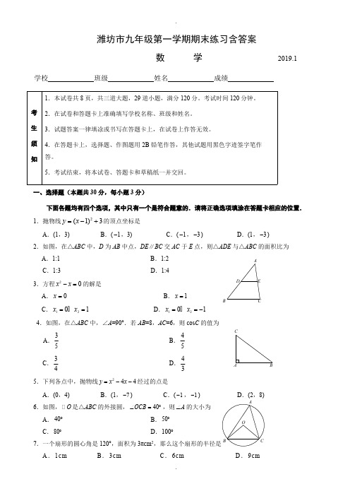 山东省潍坊市2019届初三上期末练习数学试卷(含答案)