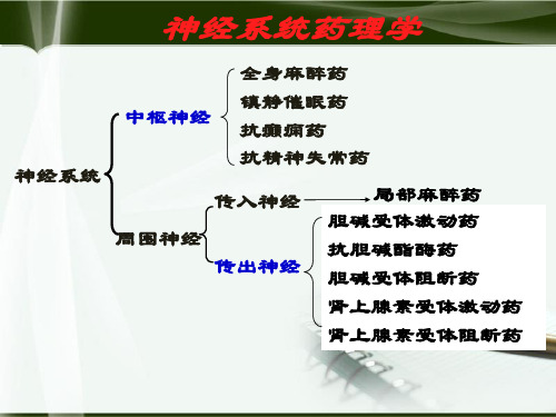 临床药学PPT课件