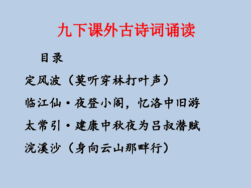 部编版语文九年级下册 课外古诗词诵读(一)《定风波》《临江仙》 《太常引》《浣溪沙》