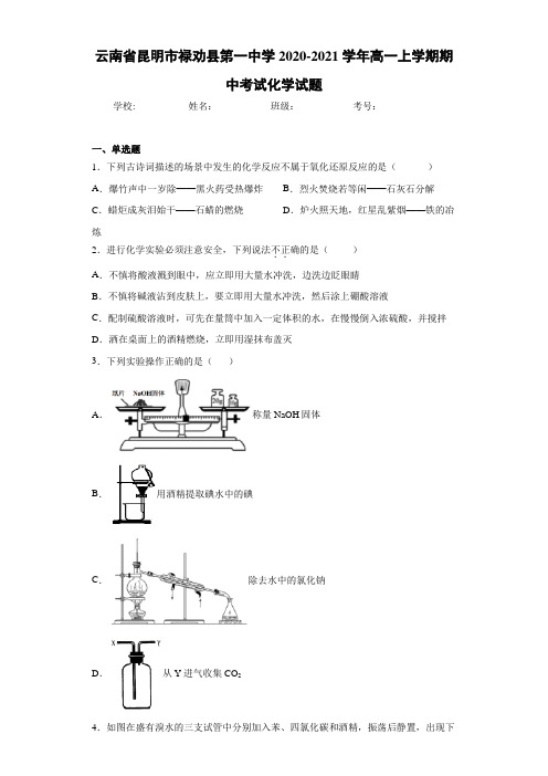 云南省昆明市禄劝县第一中学2020-2021学年高一上学期期中考试化学试题