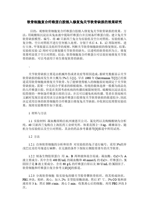 软骨细胞复合纤维蛋白胶植入修复兔关节软骨缺损的效果研究