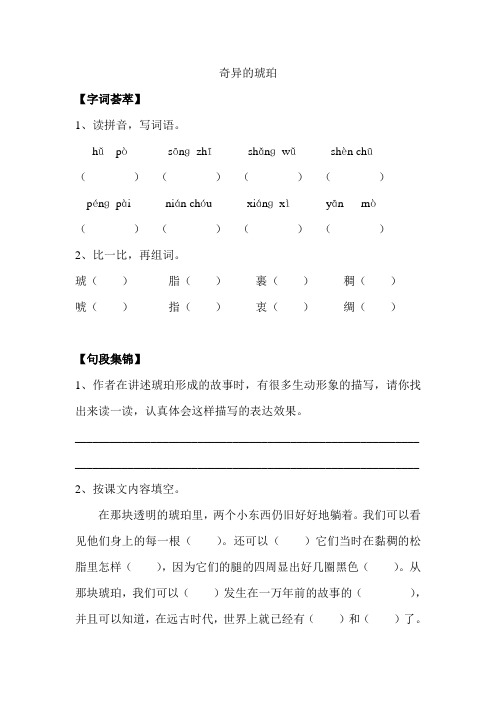 六年级上册语文试题-课文21 奇异的琥珀｜语文S版(无答案)